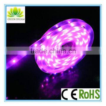 hot selling decorative flexible DC rgb led strips CE/RoHS approved