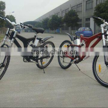 CE approved classsic green power e-bike