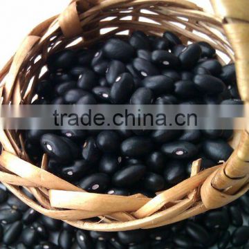 Black Kidney Beans ( 2011 crop, Hps, heilongjiang origin)