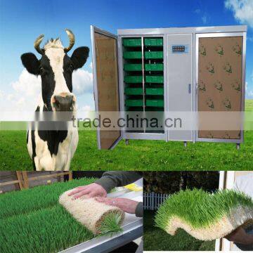 CE Certificate Trade Assurance growing grass hydroponically