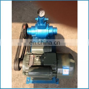 electric liquid gas transfer pump, 1.6Mpa lpg transfer pump, 110v/220v/380v lpg pump,