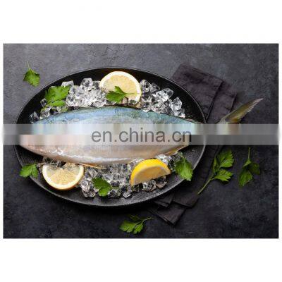 Good quality fresh frozen whole round yellowtail fish