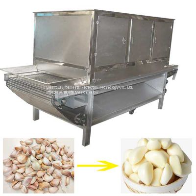 Garlic Peeling Machine Industrial Price|Garlic Peeling Machine | small garlic peeling machine price in india