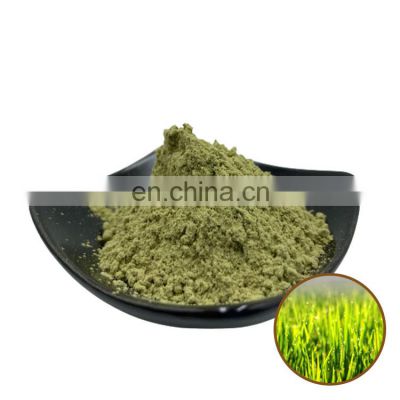 Pure natural barley grass powder organic barley powder grass powder