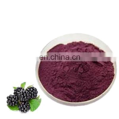 Food Grade GMP standard Natural Fruit Powder Black Raspberry Extract