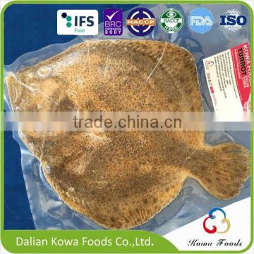 China Supplier for Fresh Frozen Turbot
