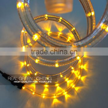 Manufacturer of Yellow 220V-240V LED Rope Light