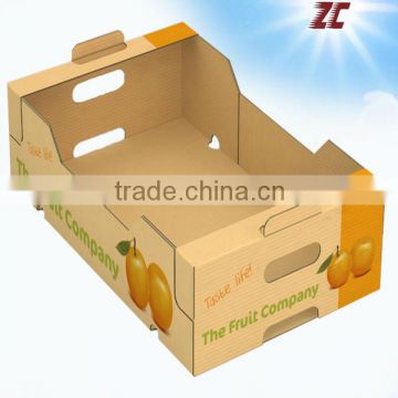 Strong Fruit Carton Box for Apple ,Fruit Packaging Box