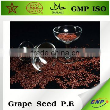 grape seed extract and cancer
