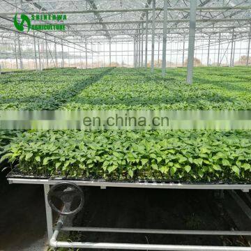 High Quality Metal Structure Aluminium Foldable Rolling Table For Greenhouse