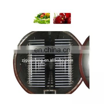 Commercial Lyophilizer Vacuum Freeze Drying Machine Vegetables and Fruits Drying Machine
