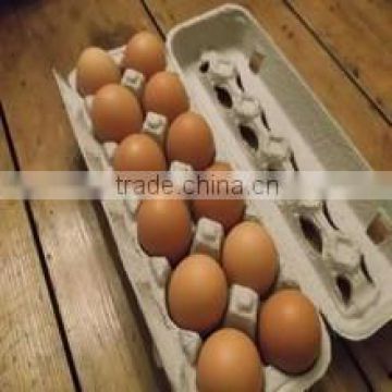 OEM orders paper pulp egg tray for sale