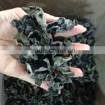 Black Dehydrated Fungus Dried