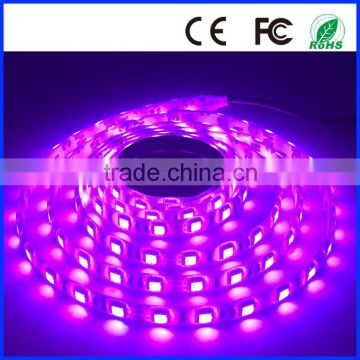 5050 rgb led strip light 60leds/m 14.4W/m DC12v ip20 nonwaterproof 5meter high quality 300leds CE&RoHS cerificated wholesale