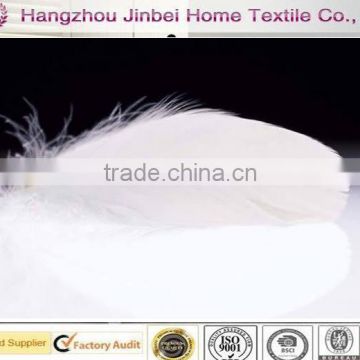 washed duck feather 2-4white duck feather filling material IDFL standard