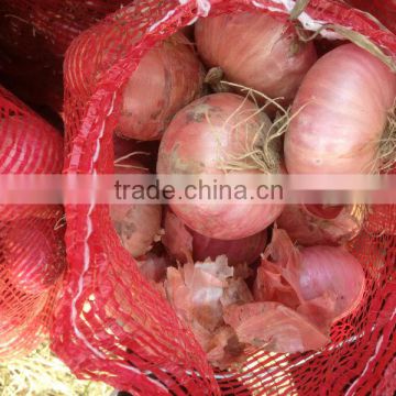 Chinese onion factory exporter directly supply onioin