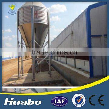 Hot-Sale Automatic Chicken Main Feeding Line Poultry Equipment Price