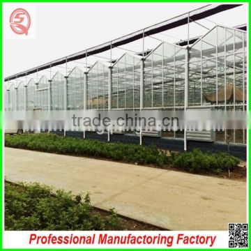 Hot sale multi-span glass 6.4m galvanized steel frame greenhouses for agriculture