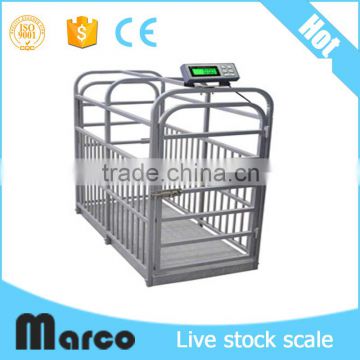 With wireless indicators Electronic Livestock Weigh Scales