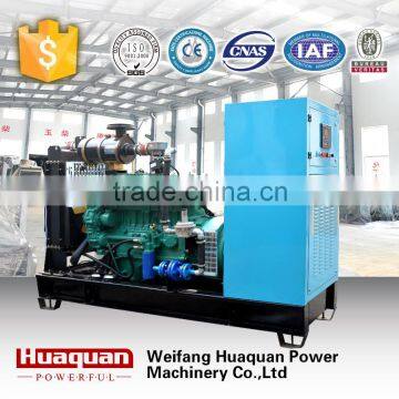 propane biogas electric generator for home use