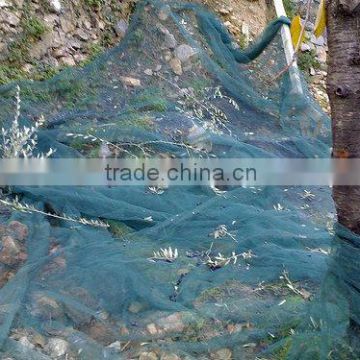 2012 hot selling olive nets
