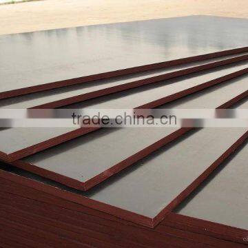 shuttering plywood