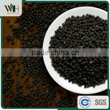 Cambodia native black pepper seed 500gl with good rate