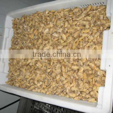 IQF Frozen boiled short necked clam meat (IQF Frozen ASARI)