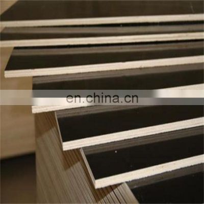 17mm 18mm plywood  Wire faced phenolic coated ply  Construction plywood