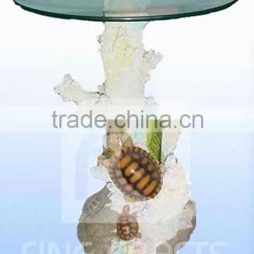 Turtle decorative table
