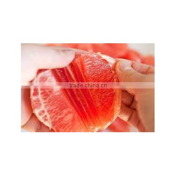 Sweet Fresh Pomelo with Best Price