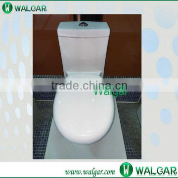 Ceramic washdown or siphonic sanitary ware toilet