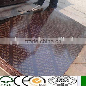 linyi factory brown film faced plywood