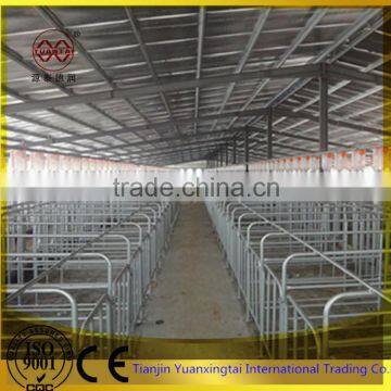 pipe for Sow cage/automatic easy cleaning pig fatten cage for pig farm