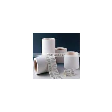 Direct Thermal adhesive paper in rolls and sheets for label printing
