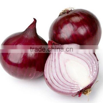 Red onion Exporter In India