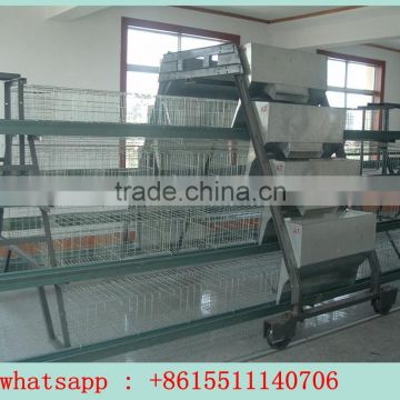 2015 hot sale Professional automatic poultry cage egg layer chicken cage