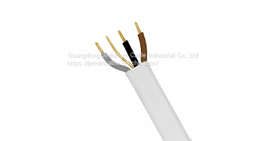 CU/PVC/PVC 6243Y Flat Three And Earth Cable