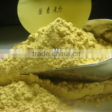 Yellow Dried Ginger Powder