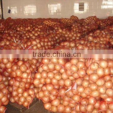 Fresh yellow onion in China