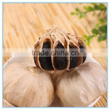 Black garlic box fermenter makes Chinese fermented garlic