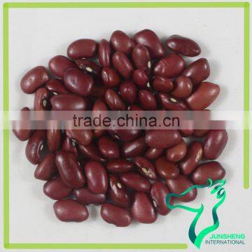 Square Red Kidney Beans Square Shape Small Size