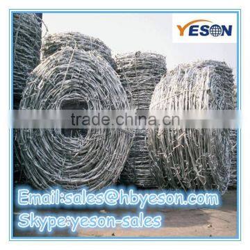 alibaba express galvanized barbed wire / cheap barbed wire