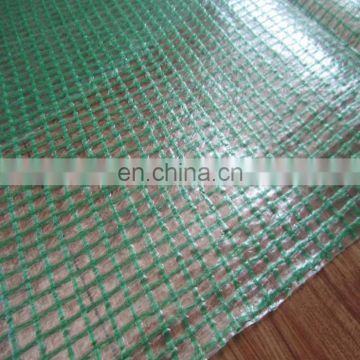 Green Mesh HDPE Woven Net Tarpaulin Greenhouse Cover