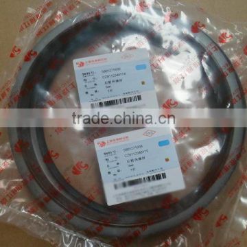 HongYan Spare Parts Oil Seal CZ9112348114