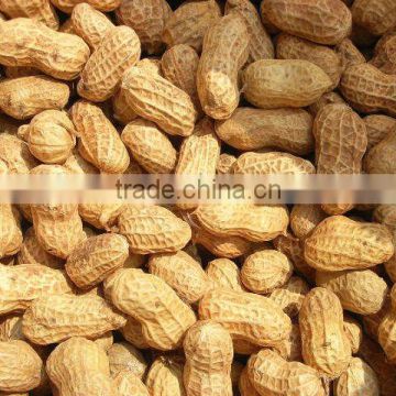 Peanut&nut