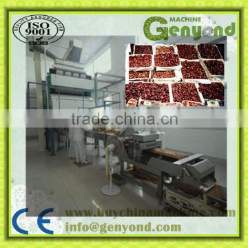 High Quality DATES Color Sorting Machine