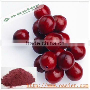 Natural European standards canberry extract spray dry powder