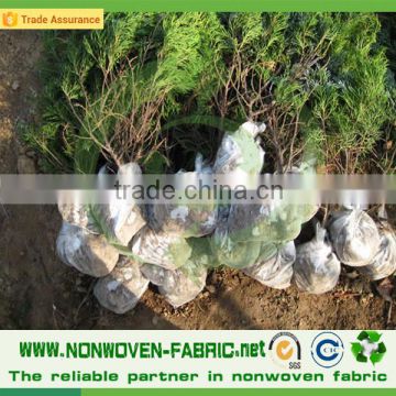 Agriculture PP Spunbond Nonwoven Fabric Weed Control