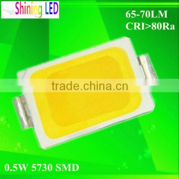 Annual Promotion CCT6000K Cool White 55-60LM Ra70 0.5W 5730 SMD LED